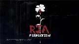 Miniatura del video Perfection