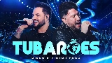 Miniatura del video Tubarões - Ao Vivo