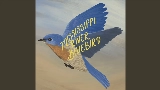 Miniatura del video Mississippi River Bluebird