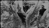 Miniatura del video Coco Gauff
