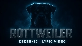 Miniatura del video Rottweiler