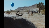 Miniatura del video What You Want (feat. Teezo Touchdown)