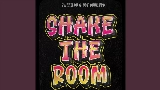 Miniatura del video Shake The Room