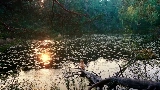 Miniatura del video Mother's Love Conquers All