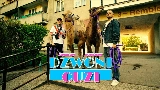 Miniatura del video DZWONI CUZI