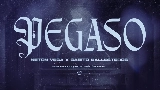 Miniatura del video Pegaso