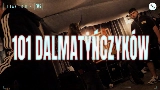 Miniatura del video 101 DALMATYŃCZYKÓW