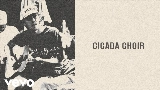 Miniatura del video Cicada Choir