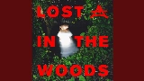 Miniatura del video Lost In The Woods