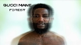 Miniatura del video Forest