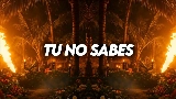 Miniatura del video Tu No Sabes