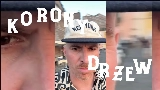 Miniatura del video Korony drzew