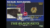Miniatura del video No Rain, No Flowers