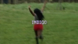 Miniatura del video Indigo