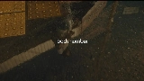 Miniatura del video 水平線