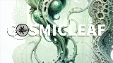 Miniatura del video World of fungi