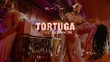 Miniatura del video Tortuga