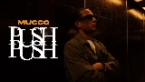 Miniatura del video PUSH PUSH