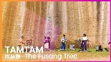 Miniatura del video 扶桑樹 - The Fusang Tree