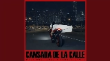 Miniatura del video Cansada De La Calle