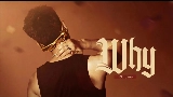 Miniatura del video WHY