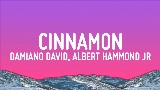 Miniatura del video Cinnamon (feat. Albert Hammond Jr)