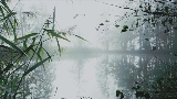 Miniatura del video reverie