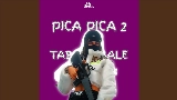 Miniatura del video DJ Pica Pica 2 X Tabola Bale