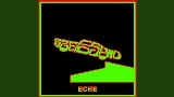 Miniatura del video ECHE