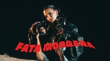 Miniatura del video Fata Morgana