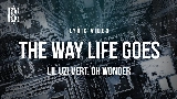 Miniatura del video The Way Life Goes
