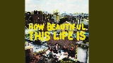 Miniatura del video How Beautiful This Life Is