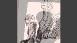 Miniatura del video Fallen Angel