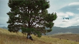 Miniatura del video Daylight